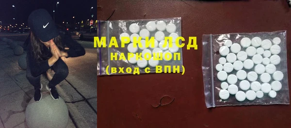 PSILOCYBIN Баксан