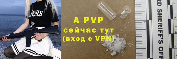 PSILOCYBIN Баксан