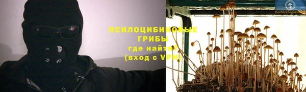 хмурый Балабаново