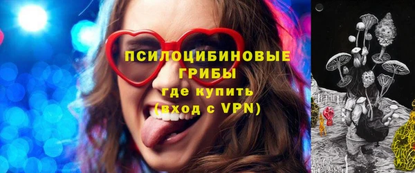 PSILOCYBIN Баксан
