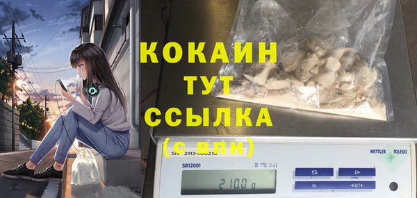 PSILOCYBIN Баксан