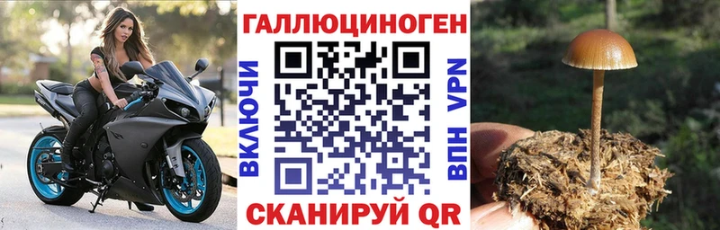 Галлюциногенные грибы мицелий  Печоры 